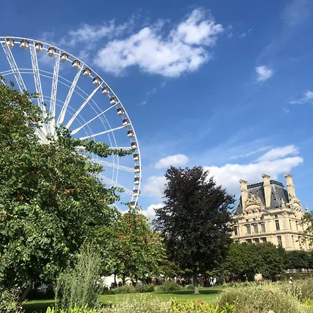 Beautiful Flat By Louvre & Tuileries Paris